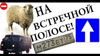 Б@р@н на ВСТРЕЧНОЙ ПОЛОСЕ!