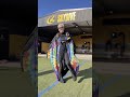 Wingsuiter happy dance 🕺😎#dance #happy #skydiving