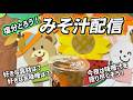 塩分とろう!みそ汁配信!
