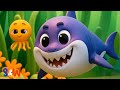Baby Shark Song