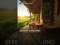 Serene Morning 🌅 | Acoustic Guitar | Earth Instrumentals #shorts #backgroundmusic