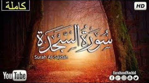 قران كريم بصوت جميل جدا جدا يشرح القلب سورة السجدة كاملة تلاوه تريح القلب ❤ #قران