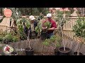 Vasilis Garden S3E22