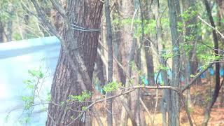 에어소프트게임(산악 스나이퍼) screenshot 3