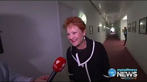 Pauline Hanson laughs at burqa stunt