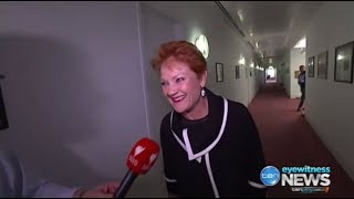 Pauline Hanson laughs at burqa stunt