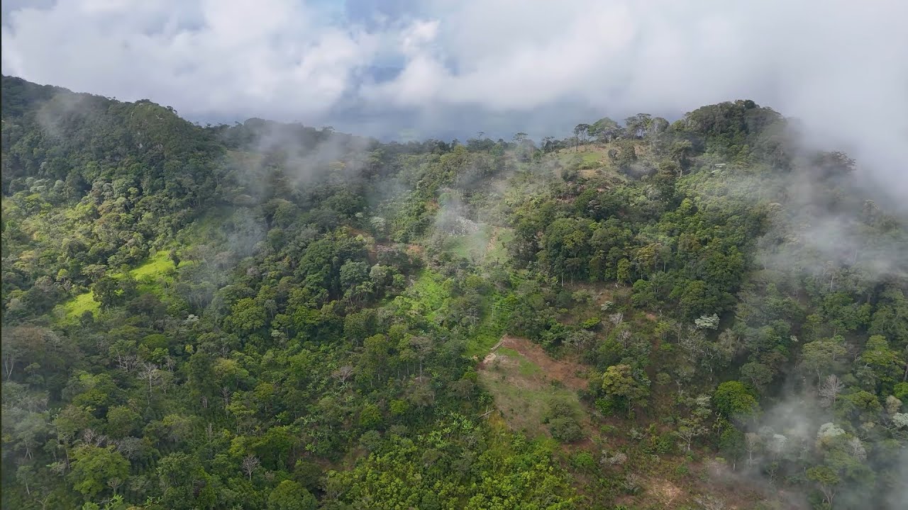 Susciptor Nos Invita a Su Finca De Café En Honduras, Montañas en Aldea El Modelo, San Nicolas, Copán