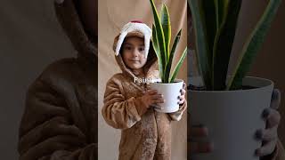 🛑 The 3-Second Trick to Measure Light for Plants! ☀️ #lowlightplants #beginnerplants #apartments