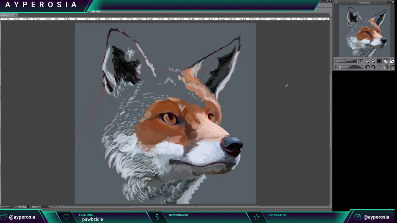 Red Fox Study || Timelapse | Clip Studio Paint - YouTube