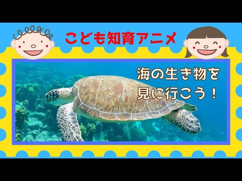 【海の生き物を見に行こう！】実写動画  潜水艦に乗って海の中の生き物を探しに行こう！☆幼児向けアニメ☆子供向けアニメ☆知育アニメ