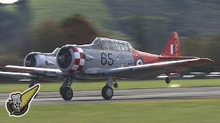 North American T-6 Texans / Harvards Display
