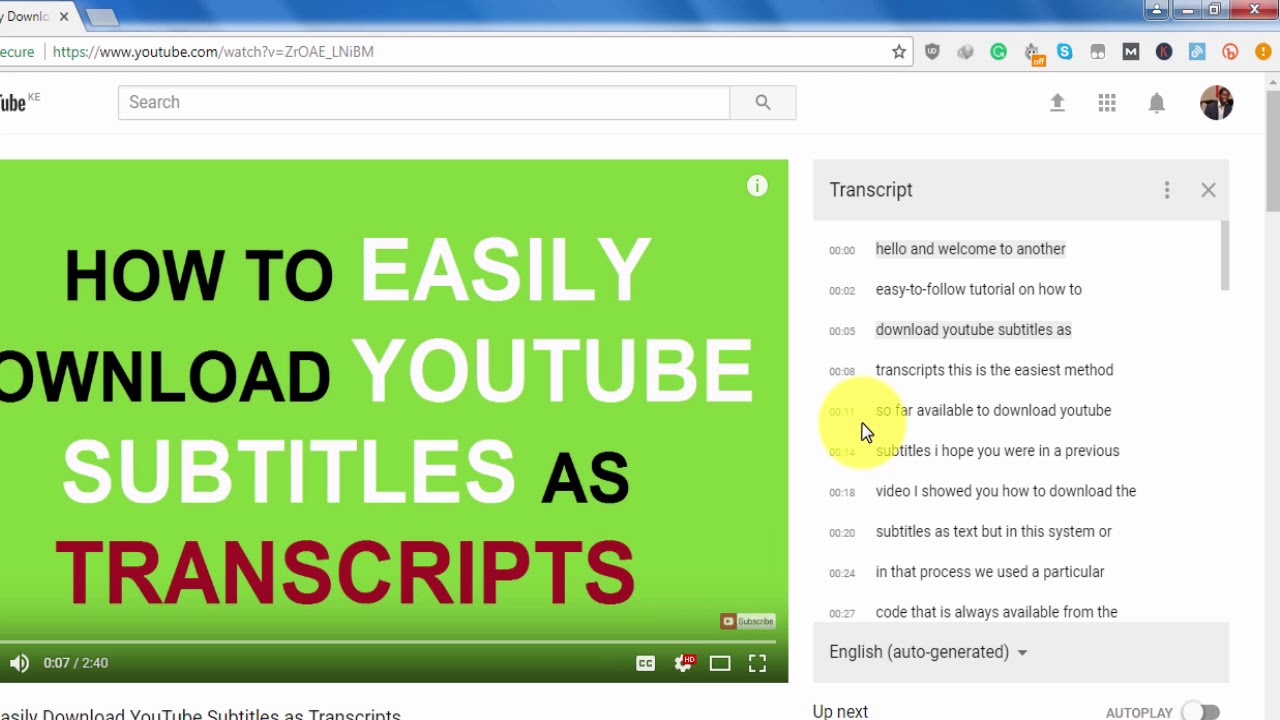 download youtube subtitles extractor