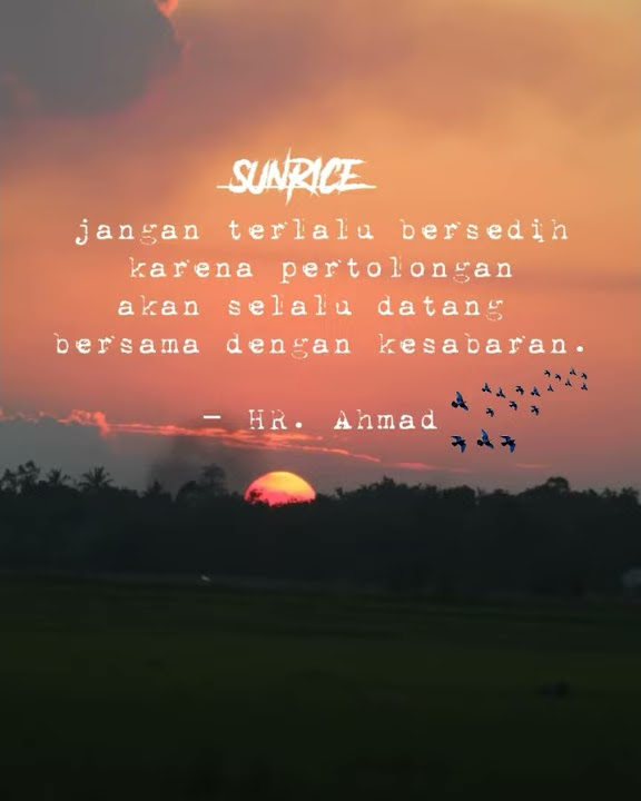 story wa || nufi wardana