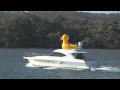 Giant Duck