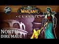 Dire Maul North | Disc Priest Healing | WoW Classic