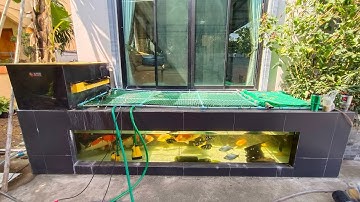 Tri พี่ตรี - งานล้าง 100% บ่อปลาคาร์พกรองบน พร้อมเปลี่ยนคาร์บอน เปลี่ยนปั๊มลม สลับเปลี่ยนปลา Set 3