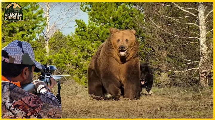 Bow vs. Beast – Hunting Wild Bears in Alaska’s Untamed Wilderness | Invasive Species thumbnail