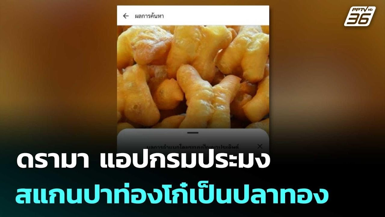 ดรามา Thailand FishAI แอปกรมประมง สแกนปาท่องโก๋เป็นปลาทอง | ทันข่าวสุดสัปดาห์ | 2 พ.ค. 69