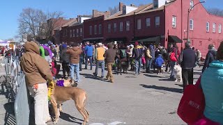 Soulard's Purina Pet Parade returns in person Sunday
