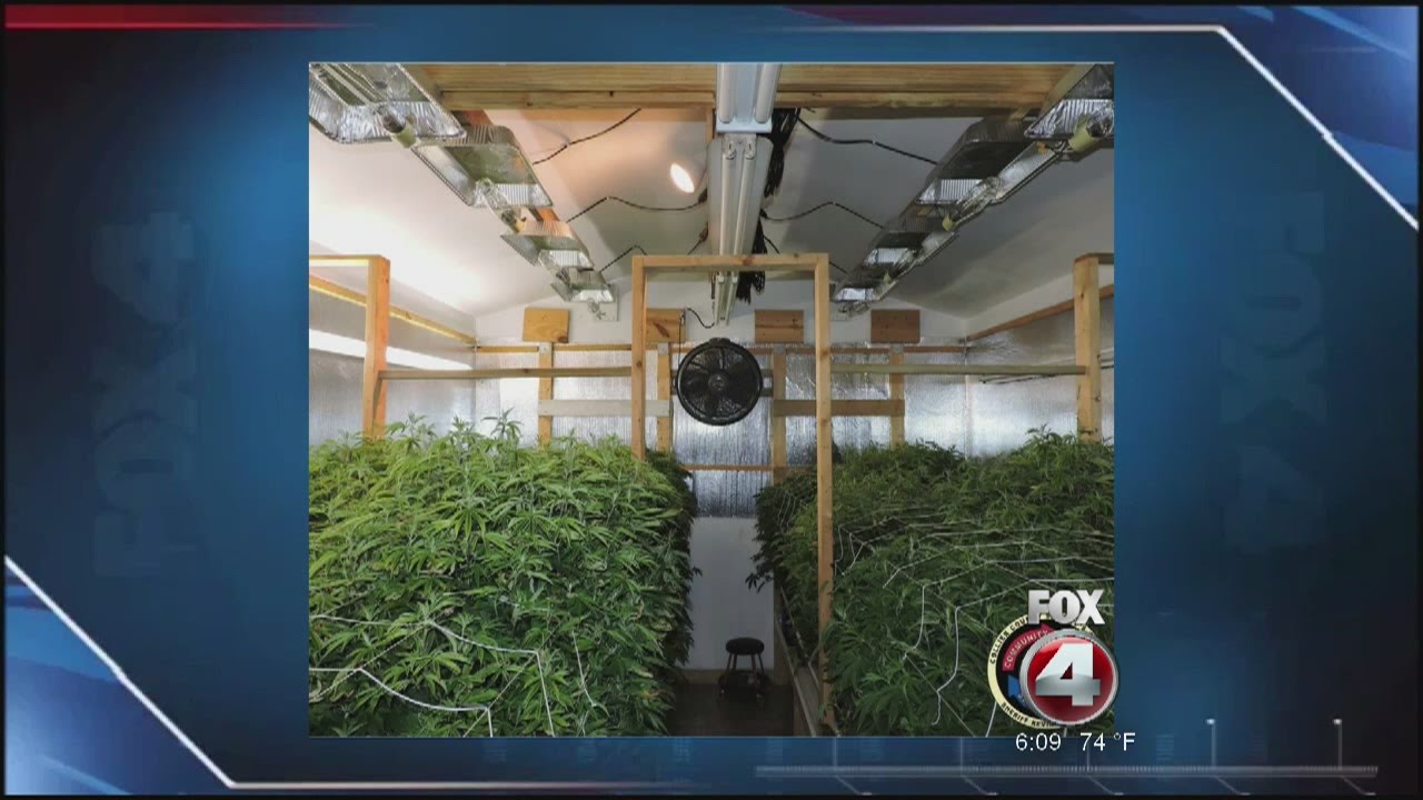 Golden Gate Marijuana trafficking arrest