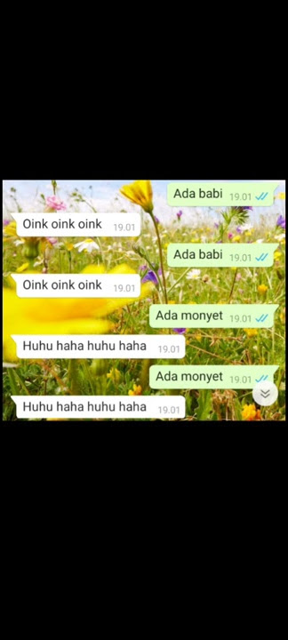 ADA BABI OINK OINK OINK