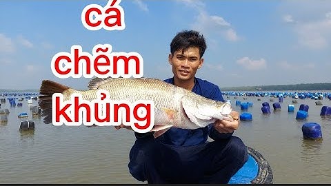 tiếp tục đi thăm lưới cá chẽm(lê nghĩa cần giờ)