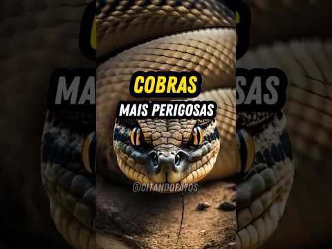 🐍| Cobras mais