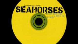 Miniatura del video "The Seahorses - Don't Try (B-Side)"