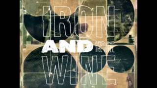 iron wine album belated promise ring trapeze swinger