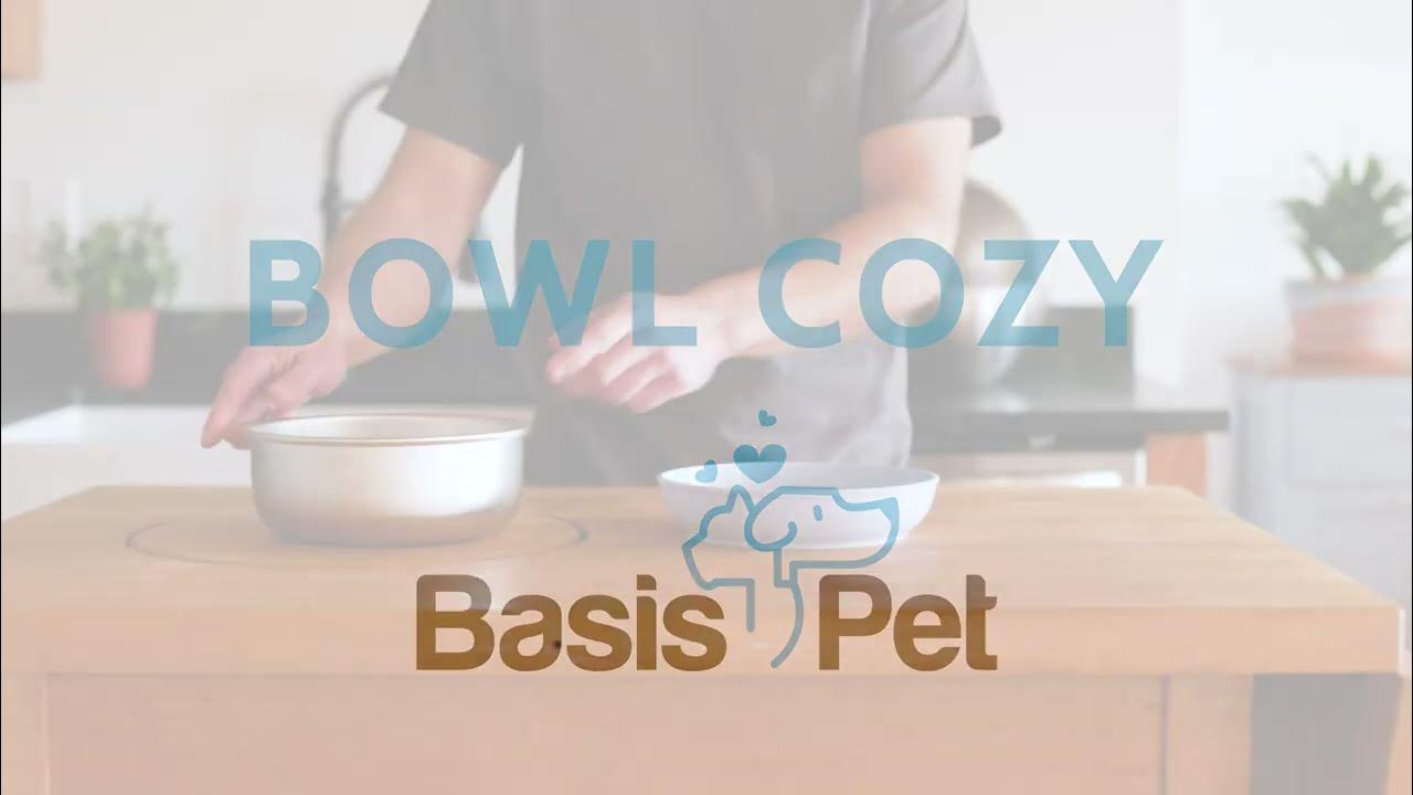 Basis Pet Bowl Cozy Overview YouTube