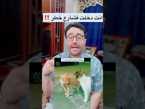مهرجان خناقة القط صاوي وجمعة