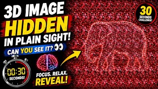Can You See The Hidden 3D Image? 👀🤯
