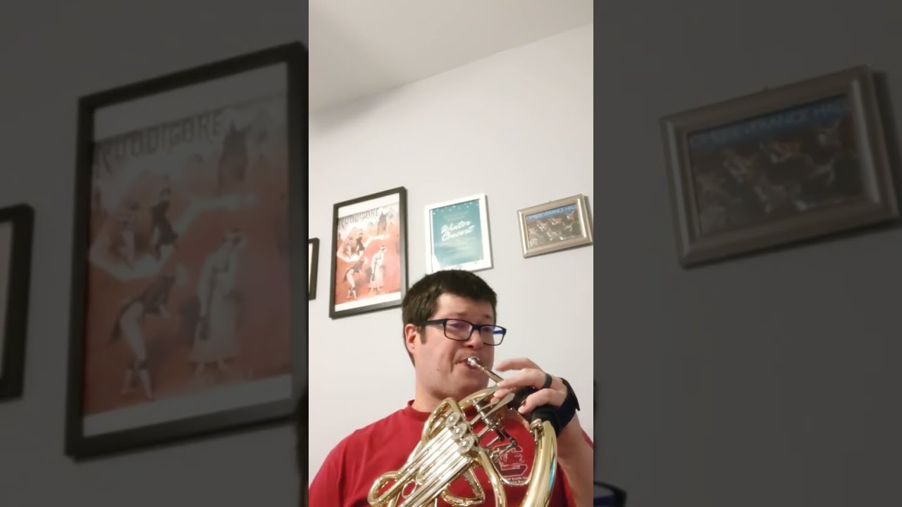 New Hans Hoyer 702 Single Bb Horn! #frenchhorn #brass