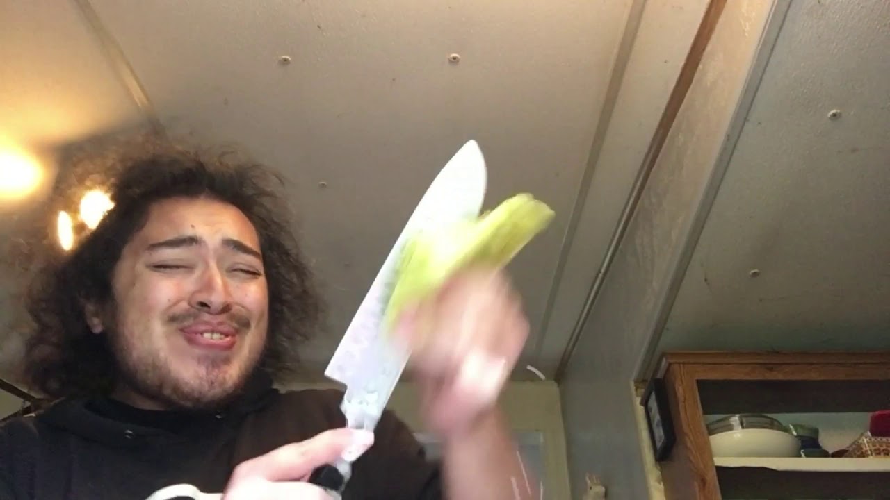 Doing the Dishes (Reply to a snap video) 
