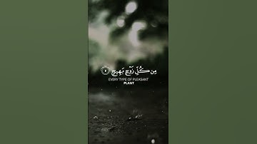 تلاوة خاشعة| "وَتَرَى الْأَرْضَ هَامِدَةً فَإِذَا أَنزَلْنَا عَلَيْهَا الْمَاءَ اهْتَزَّتْ وَرَبَتْ"