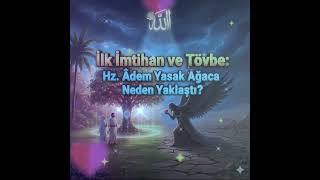 Hz. Âdem Ve Havva Cennetten Neden Çıkarıldı?