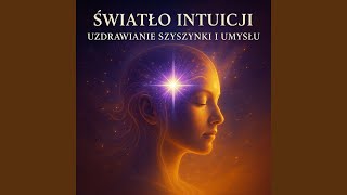 Cisza Między Myślami