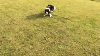 IMG 6562