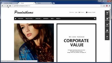 How to set up a store like the Panda theme demo 10