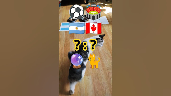 🇦🇷 Argentina vs Canada 🇨🇦 who will win? Cat Oracle predicts match result. Copa América 2024