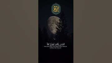 ❤️ عبدالرحمن مسعد سورة  العنكبوت #24