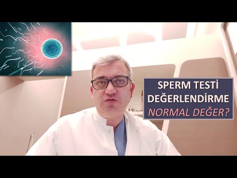 Sperm Testi (Spermiogram) Değerlendirme, Normal Sperm Değerleri, Varikosel Ameliyatı Ne Zaman Gerek?