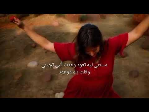 وعدت قلبي فارس    