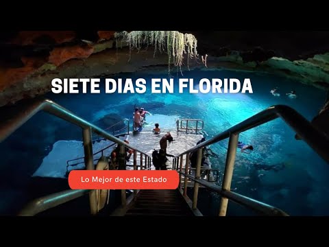 Video: Las mejores cosas gratis para hacer en el norte de Florida