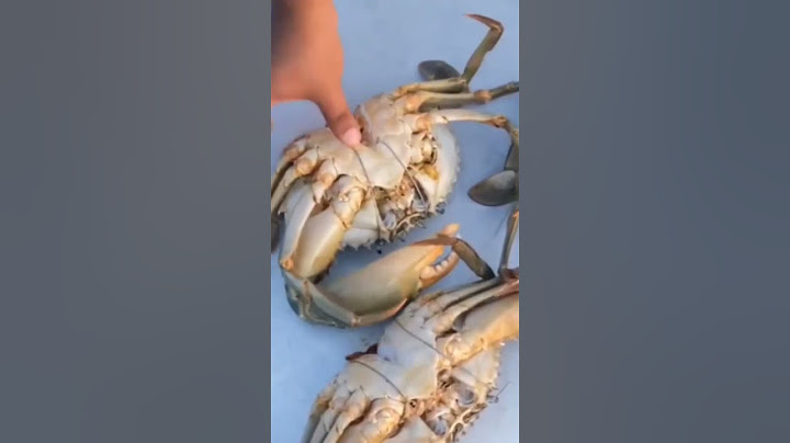 Giant Infused Crab Barbecue | ഞണ്ടിനെ കുത്തിവച്ചു ചുട്ടത് | M4 Tech | #shorts