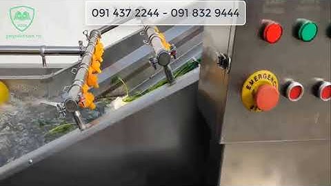 Máy rửa rau củ công nghiệp – Máy rửa hoa quả, thực phẩm công suất lớn