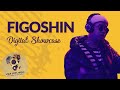 Figoshin  visa for music 2020