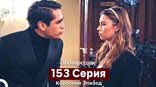 Зимородок 153 Cерия (Короткий Эпизод) (Русский Дубляж)