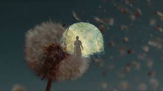 Drifting Like a Feather — Official Music Video | Violetj