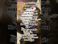 Дома моя зайка❤️ #овчарка #любовь #немецкаяовчарка
